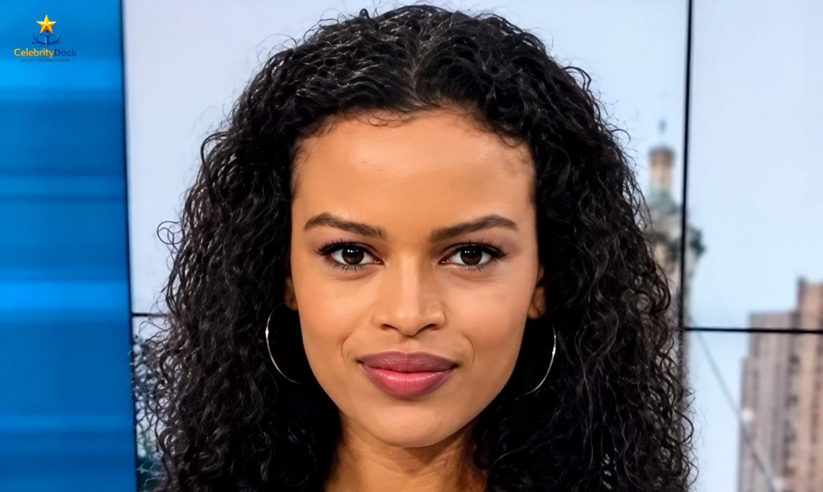 Sina Gebre-Ab smiling during a professional television news broadcast